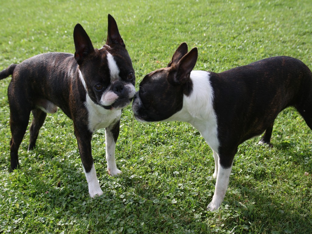 Oskar and Matylda